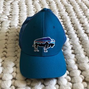 Patagonia hat